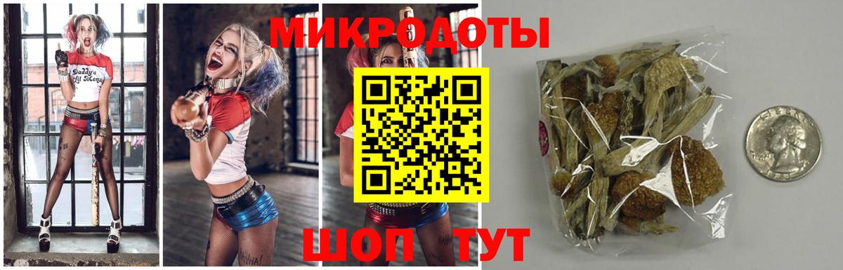Галлюциногенные грибы Psilocybine cubensis  закладки  Минеральные Воды  Псилоцибиновые грибы мицелий  Вход с VPN 